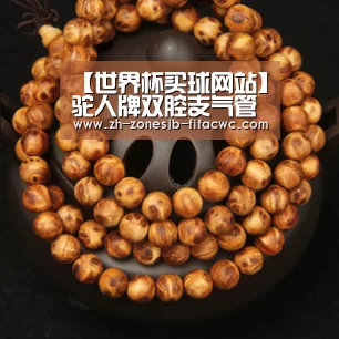 世界杯买球网站