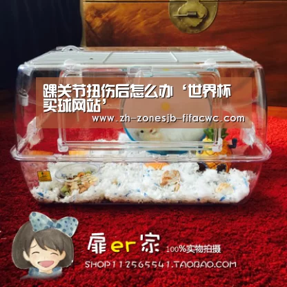 世界杯外围买球官网