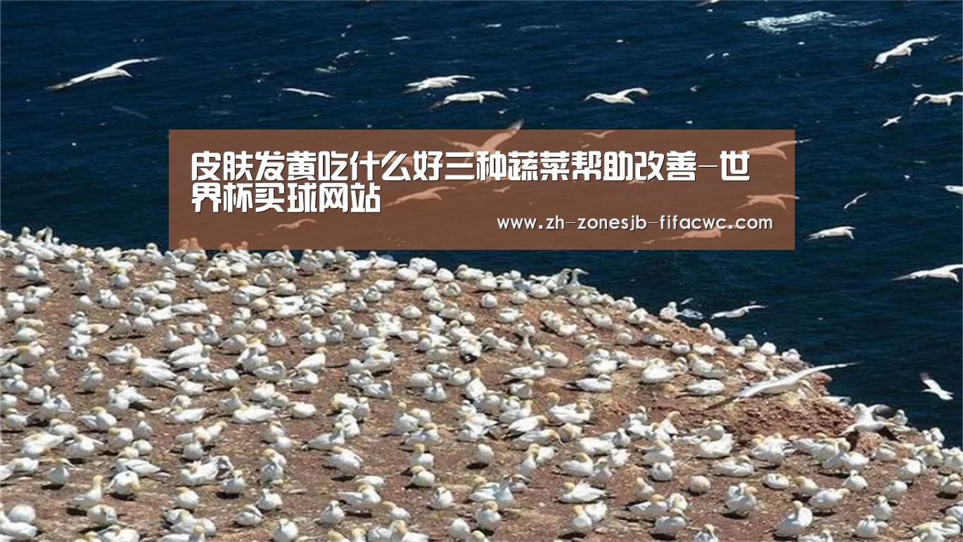 世界杯投注